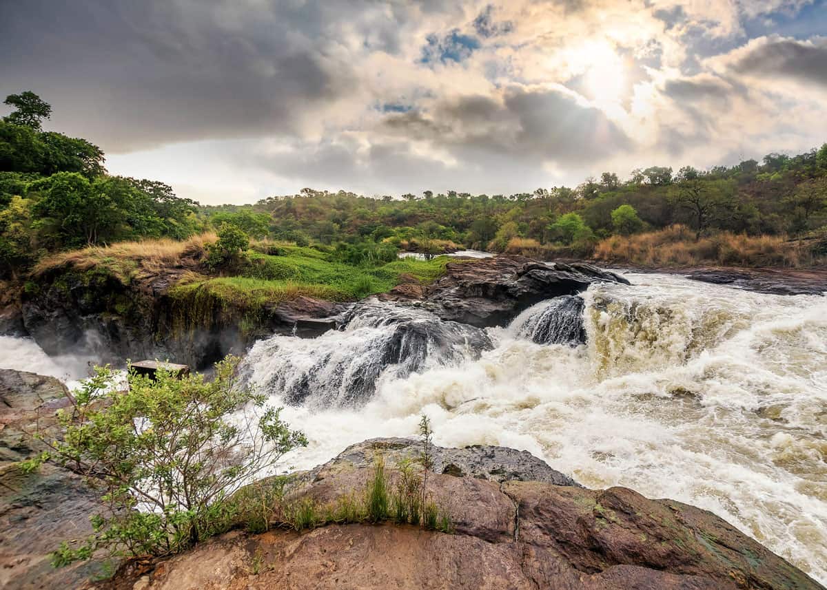 Murchison Falls Top-Uganda Murchison Falls Top Uganda